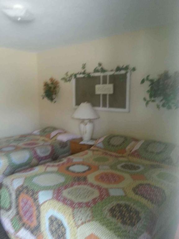 Taneycomo Lakefront Resort Bull Creek Habitación foto